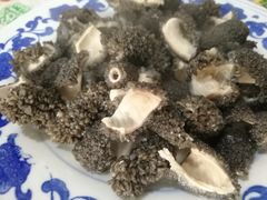 -东兴顺爆肚张