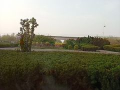 -南开大学滨海学院