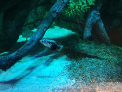 -沈阳海洋探索中心