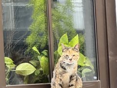 -CHURCH  BISTRO 教堂·餐吧