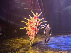 -重庆国际马戏城