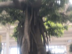 -太白山御龙湾温泉