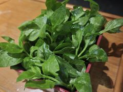 -云荷里·蒸汽石锅鱼·云南菜(中发百旺店)