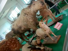 -广东茂名森林公园