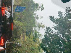 -深圳仙湖植物园-停车场