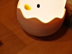 -DM CHICKEN 分米鸡