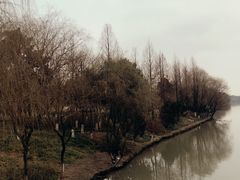 -西溪国家湿地公园