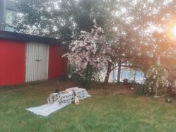 -WPlus明星肖像亲子全家福摄影