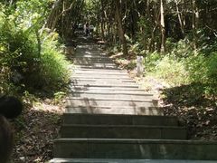 -梧桐山风景名胜区