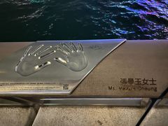 -星光大道