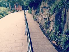 -上海佘山国家森林公园西佘山园