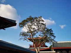 -莆田南少林寺