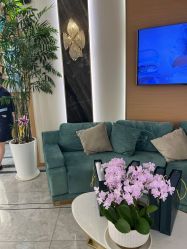 -雅曼妮spa美容养生