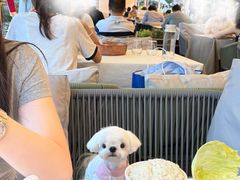 -沿途四季·云南菜·诗酒茶(蓝色港湾店)