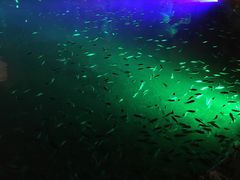 -宝丽金大酒店·洗浴中心