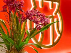 -松鹤楼·苏式汤面(虹桥天地店)