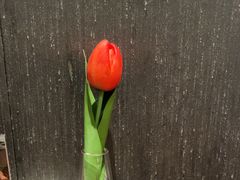 -百富源·海鲜辽菜(和平北大街店)