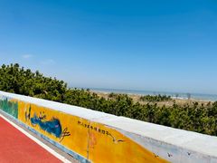 -日照海滨国家森林公园