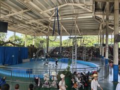 -泉州海丝野生动物世界