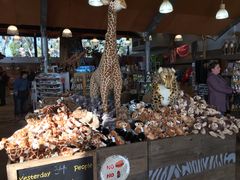 iphone_upload_pic-威勒比开放式动物园