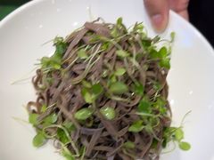 -紫光园·烤鸭(紫燕中路店)
