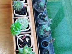 -横店影视城梦幻谷园区