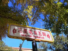 -三里屯东五街银杏大道