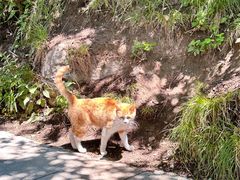-终南山南五台景区