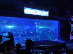 -白鹿仓冰雪海洋世界