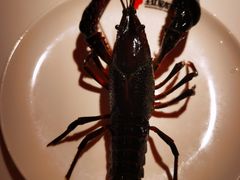 -王红军龙虾(新民路店)