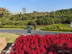 -东莞植物园