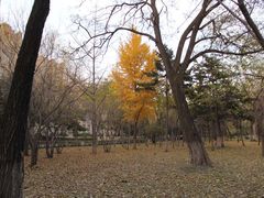 -辽宁大学(崇山校区)