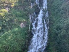 -水濂山森林公园