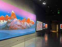 -罗红摄影艺术馆