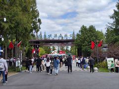 -黄海国家森林公园