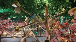 -酷嗒动物文化乐园(cutezoo西溪乐天城店)