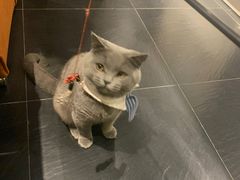 -吱咖啡西式简餐