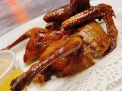 乳鸽-富来美食