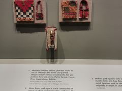 -美国自然历史博物馆