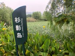 -长兴太湖图影湿地文化园