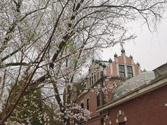 -北京动物园-畅观楼