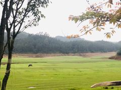 -台山川岛旅游度假区