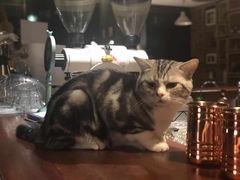 -咖法森林·咖啡  酒吧(天河店)