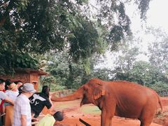 -海南热带野生动植物园
