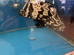 -海上食代(赣江新天地店)