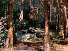 -泉州海丝野生动物世界