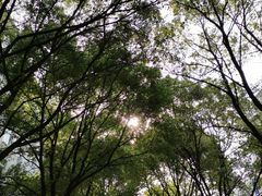 -同济大学(沪西校区)