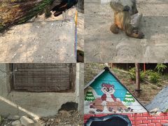 -北京鹿世界主题园