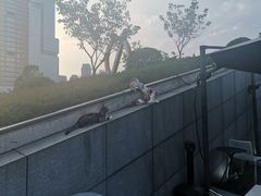 -UNI UNI(环亚凯瑟琳店)