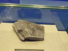 -陕西自然博物馆